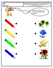 okul öncesi renkler çalışma sayfaları; renkleri eşleştirme çalışmaları